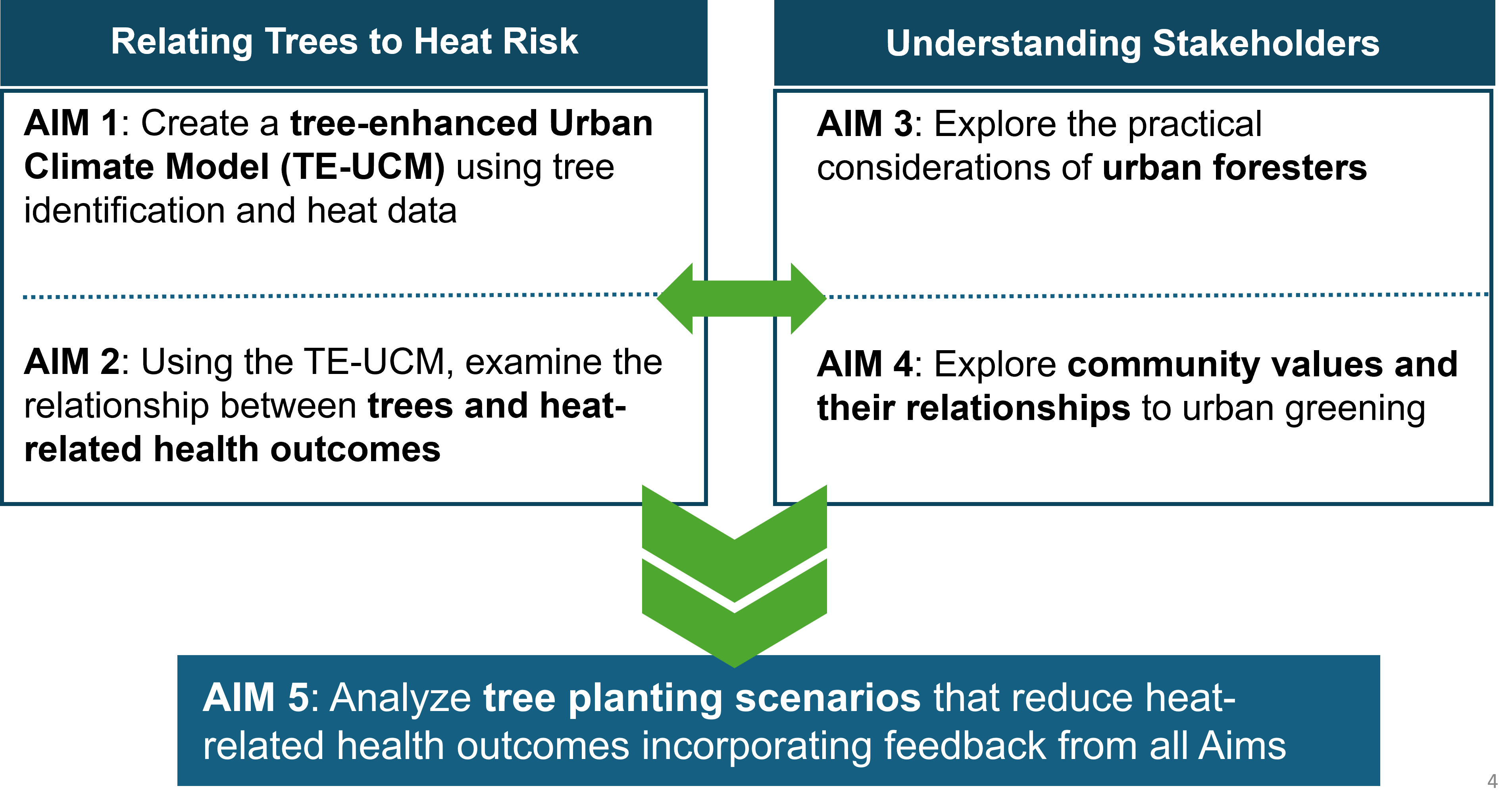 Graphic depicting the project aims. On the left side it shows two aims under the category "Relating Trees to Heat Risk" and two under "Stakeholder Engagement" to ultimately produce tree planting scenarios